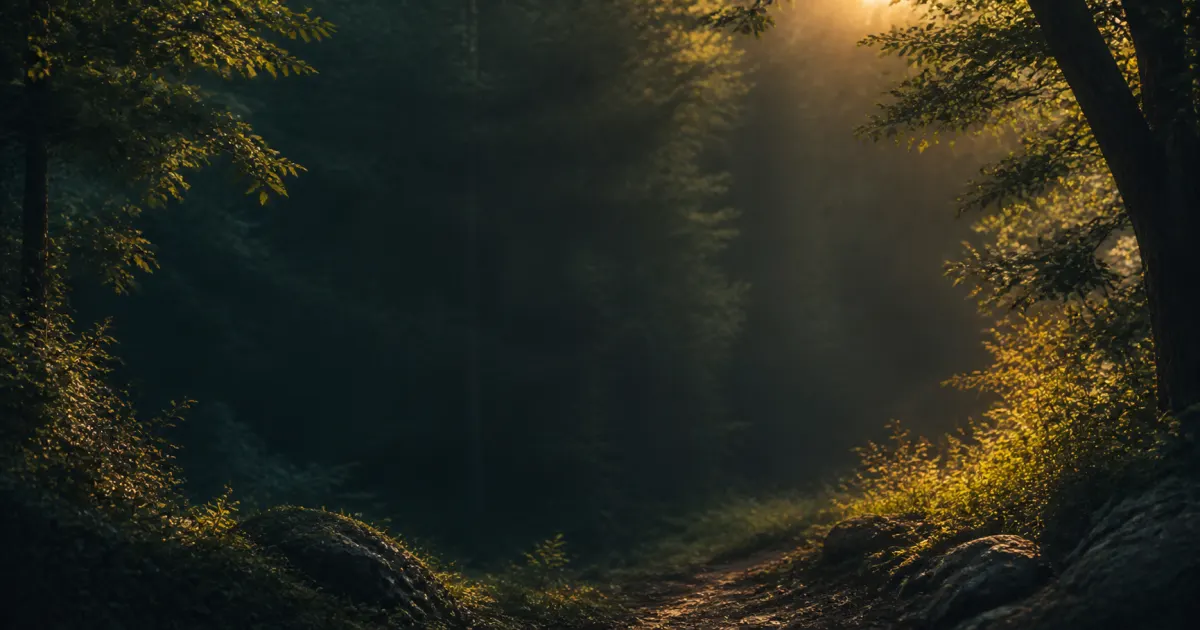 A dark forest path with a shaft of golden light coming through the trees.